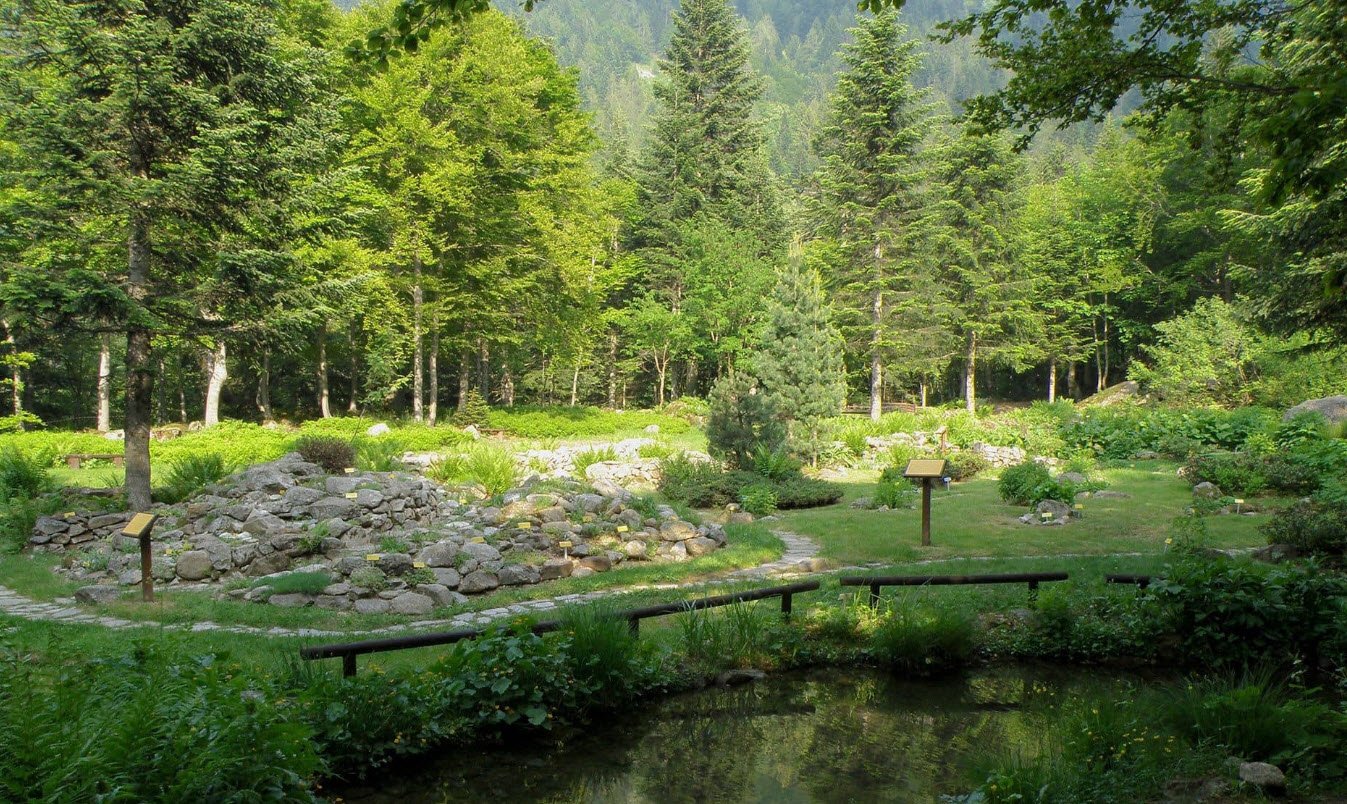 Giardino Botanico Valderia, Italy, Italy